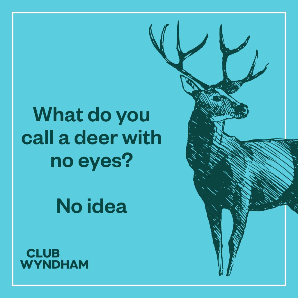 Dad Jokes 9 - Deer